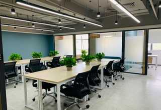 罗平种植食用菌价格优惠