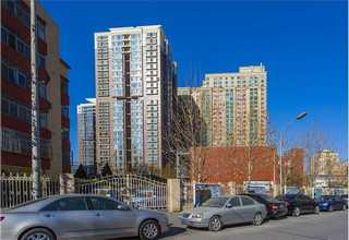 山东干黄花菜凉拌